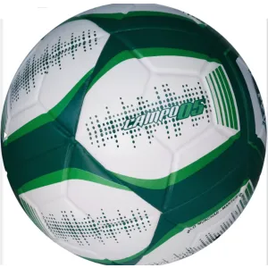 BOLA DE FUTEBOL N 5 PALMEIRAS 427