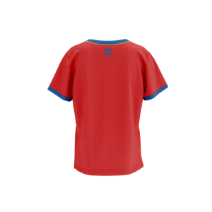 CAMISETA BARCELONA TROPHY